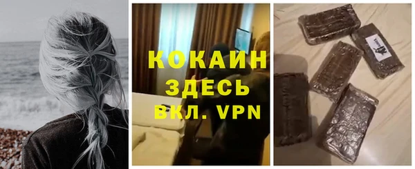 крисы Алексин